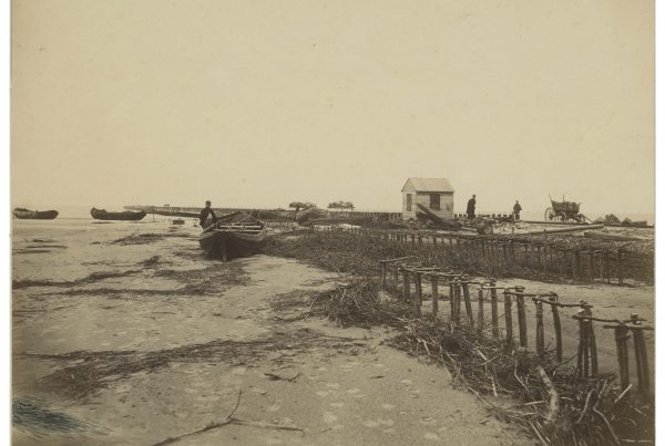 WEBVERSIE Van Gorkom NL RtSA 4187 XXVIII 10 02 2