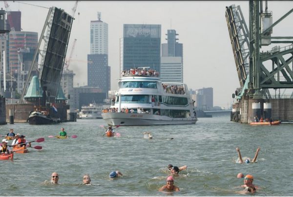 2008 rotterdam swim