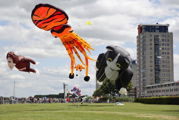 vliegerfestival spijkenisse nissewaard niels braal 49748756