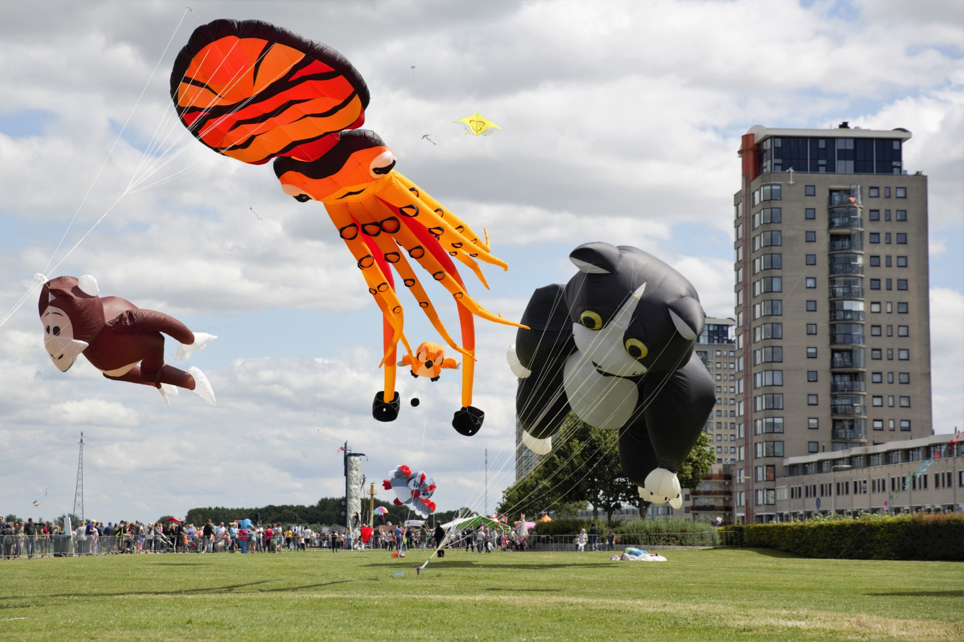 vliegerfestival spijkenisse nissewaard niels braal 49748756