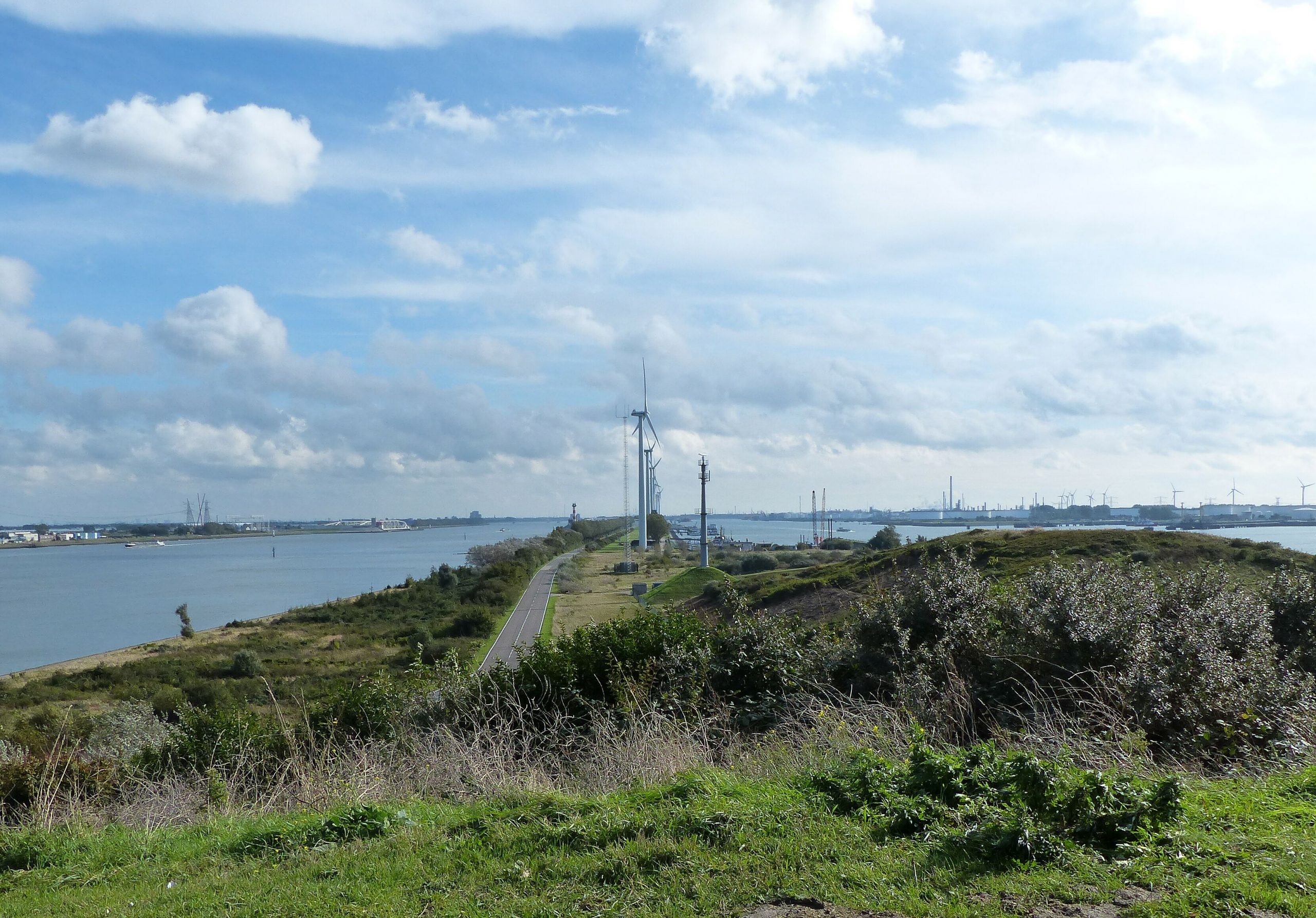 de Volkskrant: Natuur in de Rotterdamse haven? Jazeker, leg deze fietsroute maar eens af
